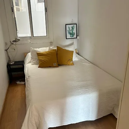Shared Ausias Hostel